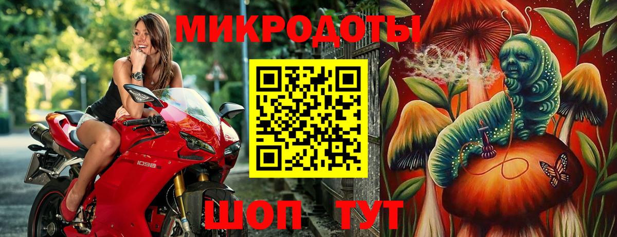 Псилоцибиновые грибы Cubensis  Вход с VPN  Биробиджан 